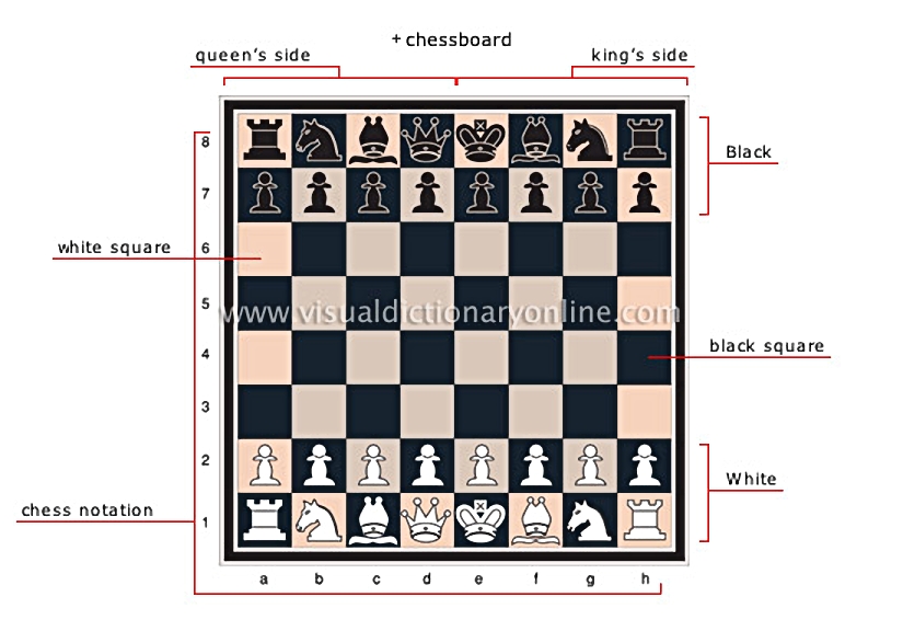 chess [1]