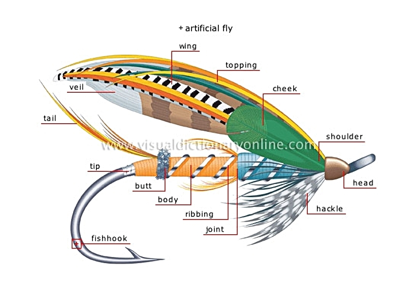 flyfishing [3]