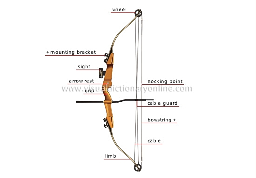 compound bow