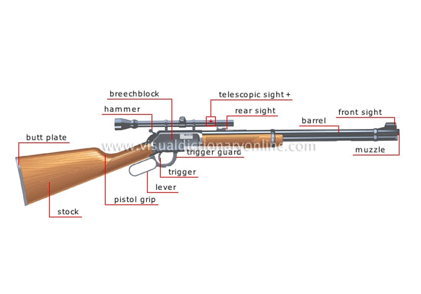 rifle (rifled bore)