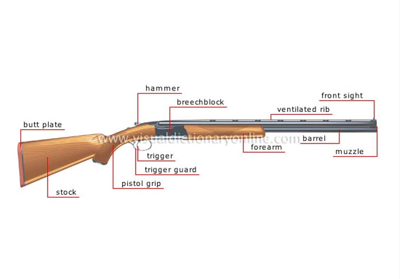 shotgun (smooth-bore)