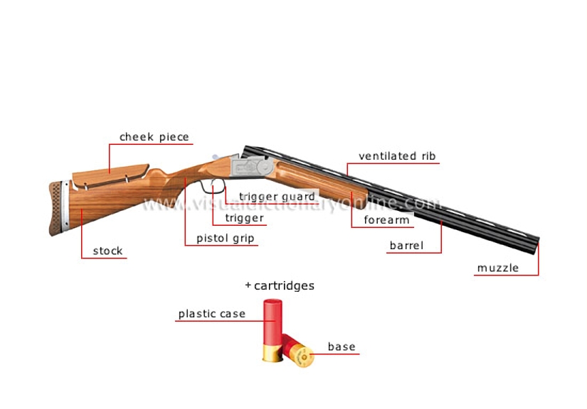 shotgun