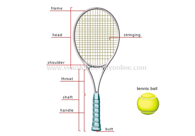 tennis racket