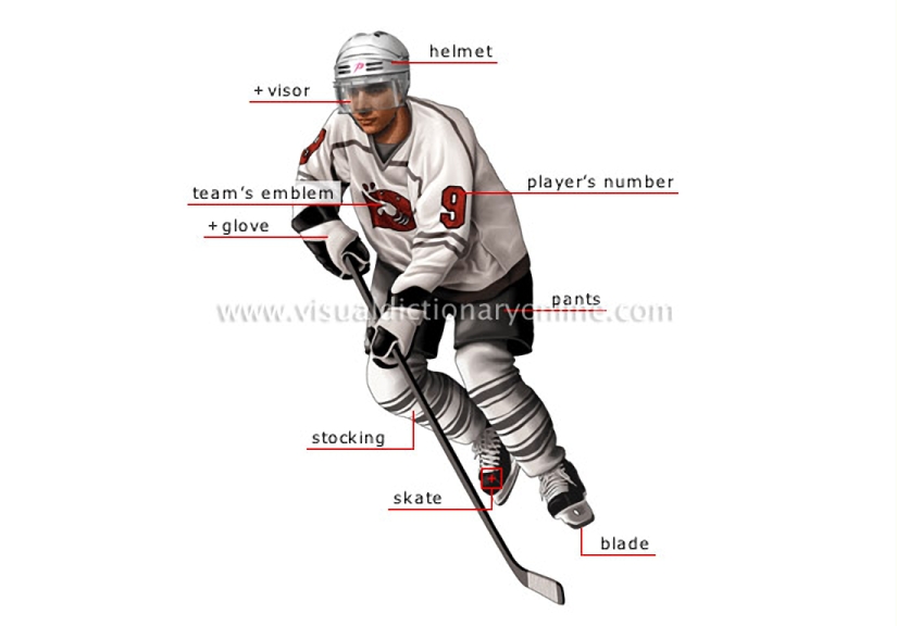 ice hockey player [1]