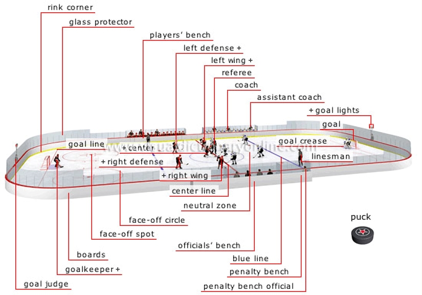 rink